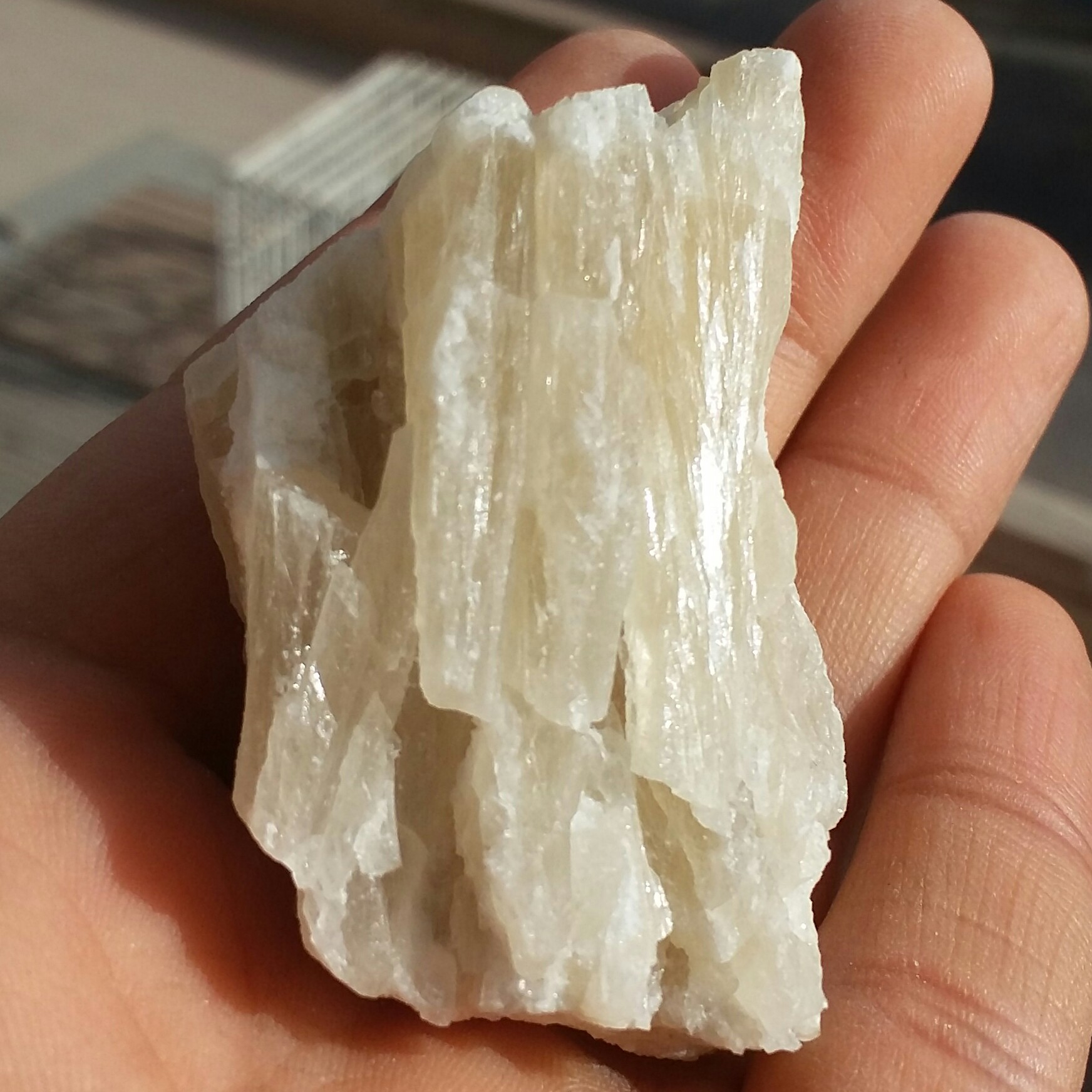 سنگ راف کلکسیونی کلسیت زرد نباتی 100 در 100 طبیعی شاااهکار خلقت
کد 10366