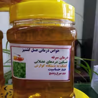 عسل ارگانیک گیشنیز  یک کیلویی صد در صد طبیعی تولید شده زنبورستان ناظمی