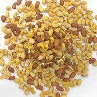 آجیل چهار مغز 100 گرمی 