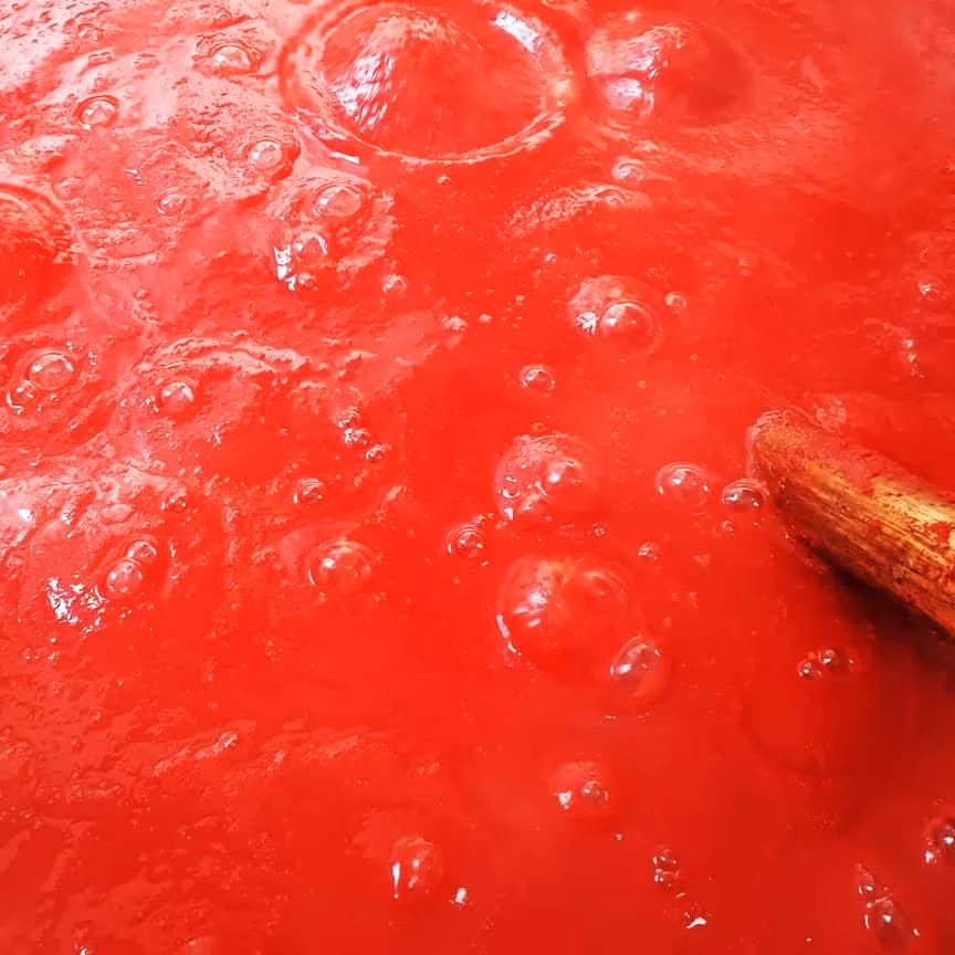 رب گوجه فرنگی صددرصد خانگی 1/5کیلویی