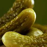 پخش عمده خیارشور نول همدان