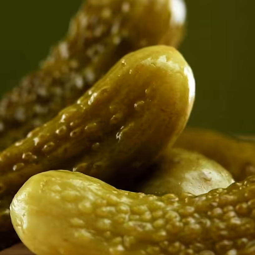 پخش عمده خیارشور نول همدان