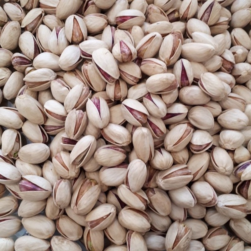 پسته احمدآقایی ارگانیک درجه یک (ارسال رایگان)