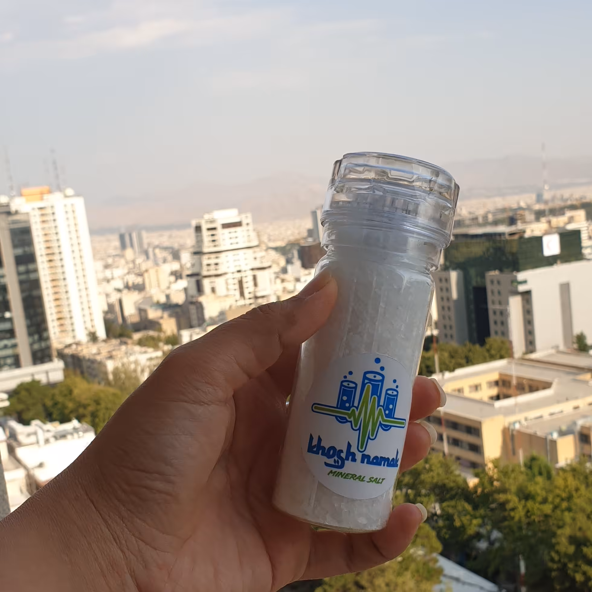 نمک معدنی دلنمک