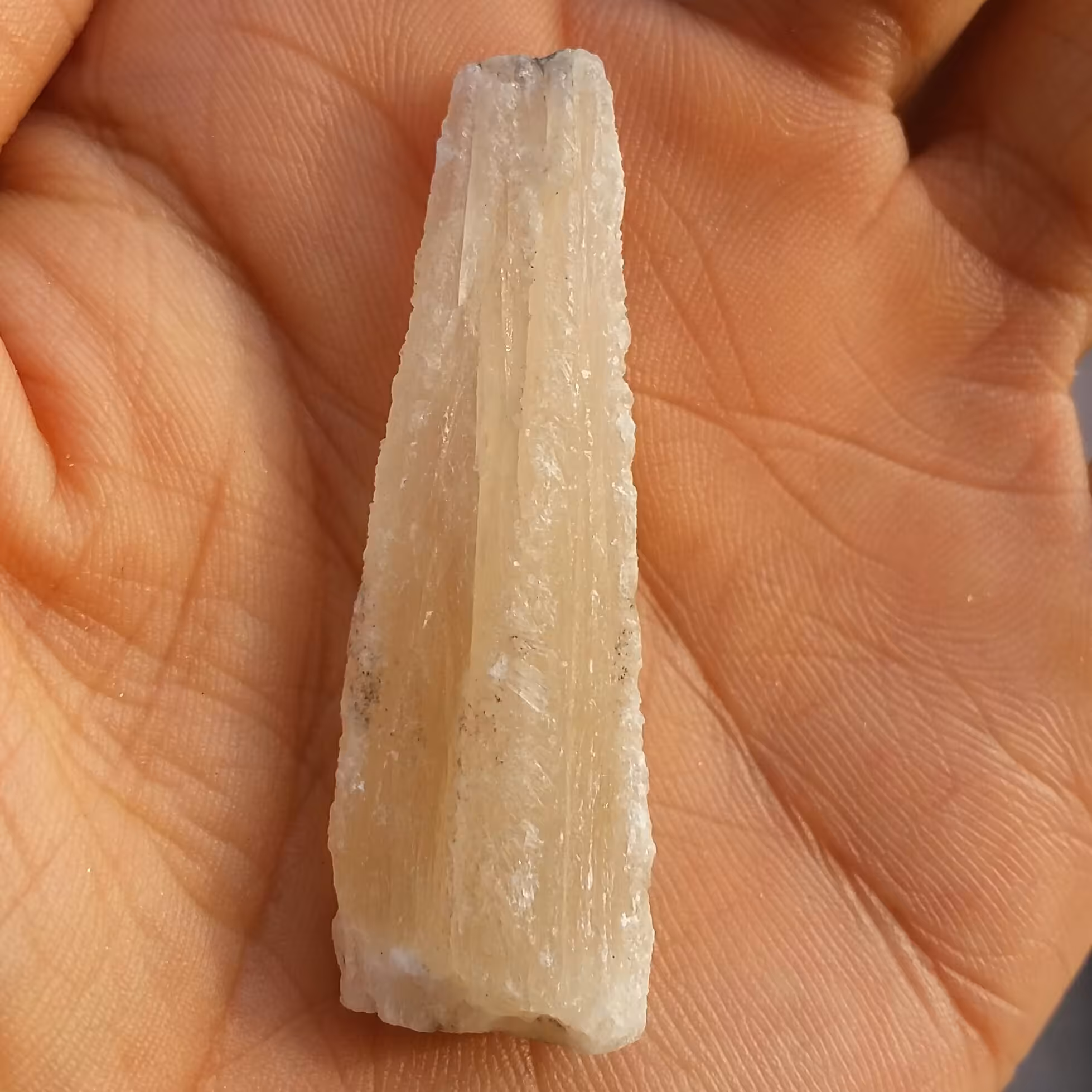 سنگ راف کلکسیونی کلسیت زرد نباتی 100 در 100 طبیعی شاااهکار خلقت