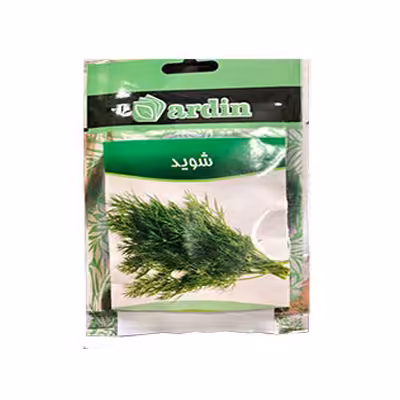 بذر شوید آردین