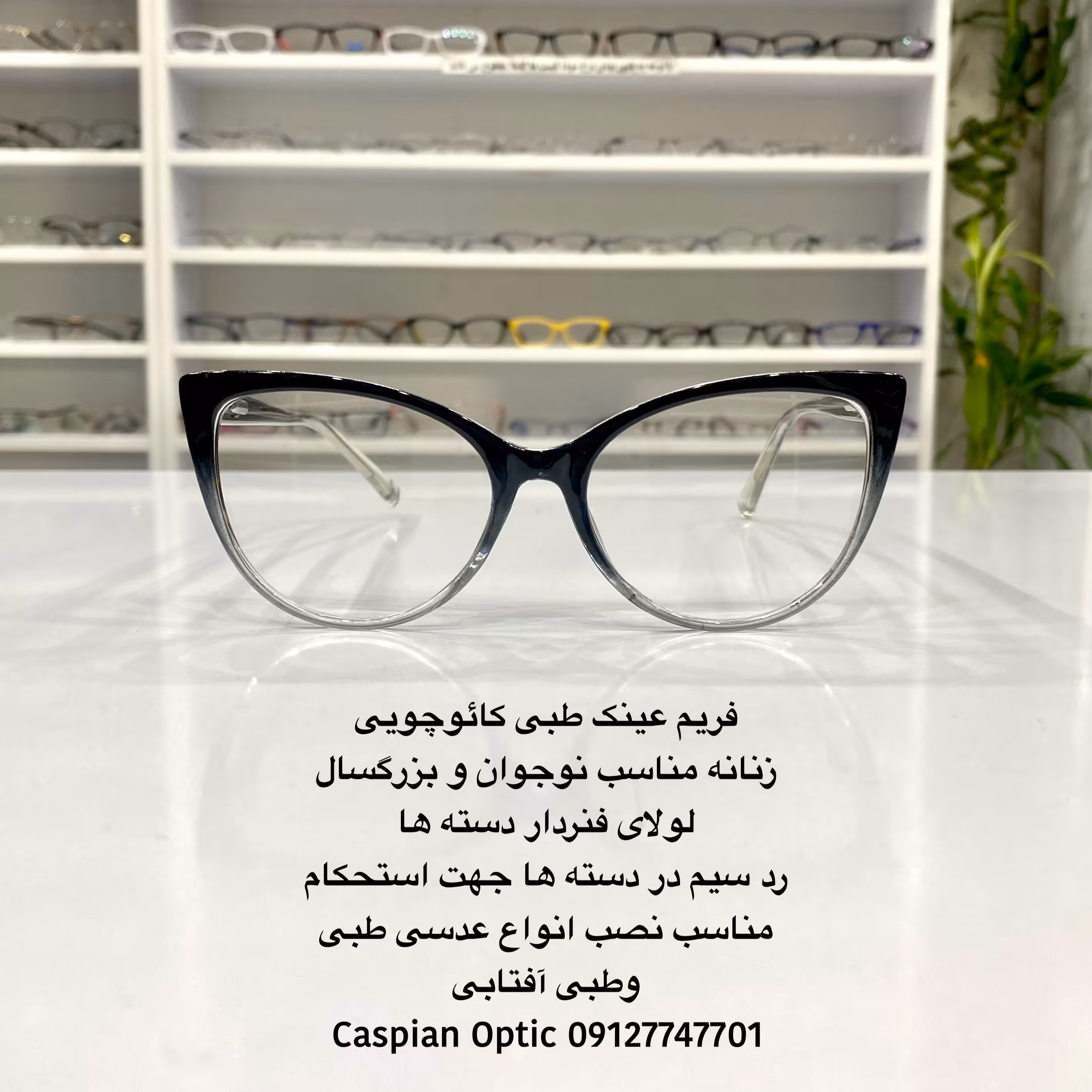 فریم عینک طبی زنانه گربه ای مشکی هایلایت قیمت مناسب در عینک کاسپین بوشهر