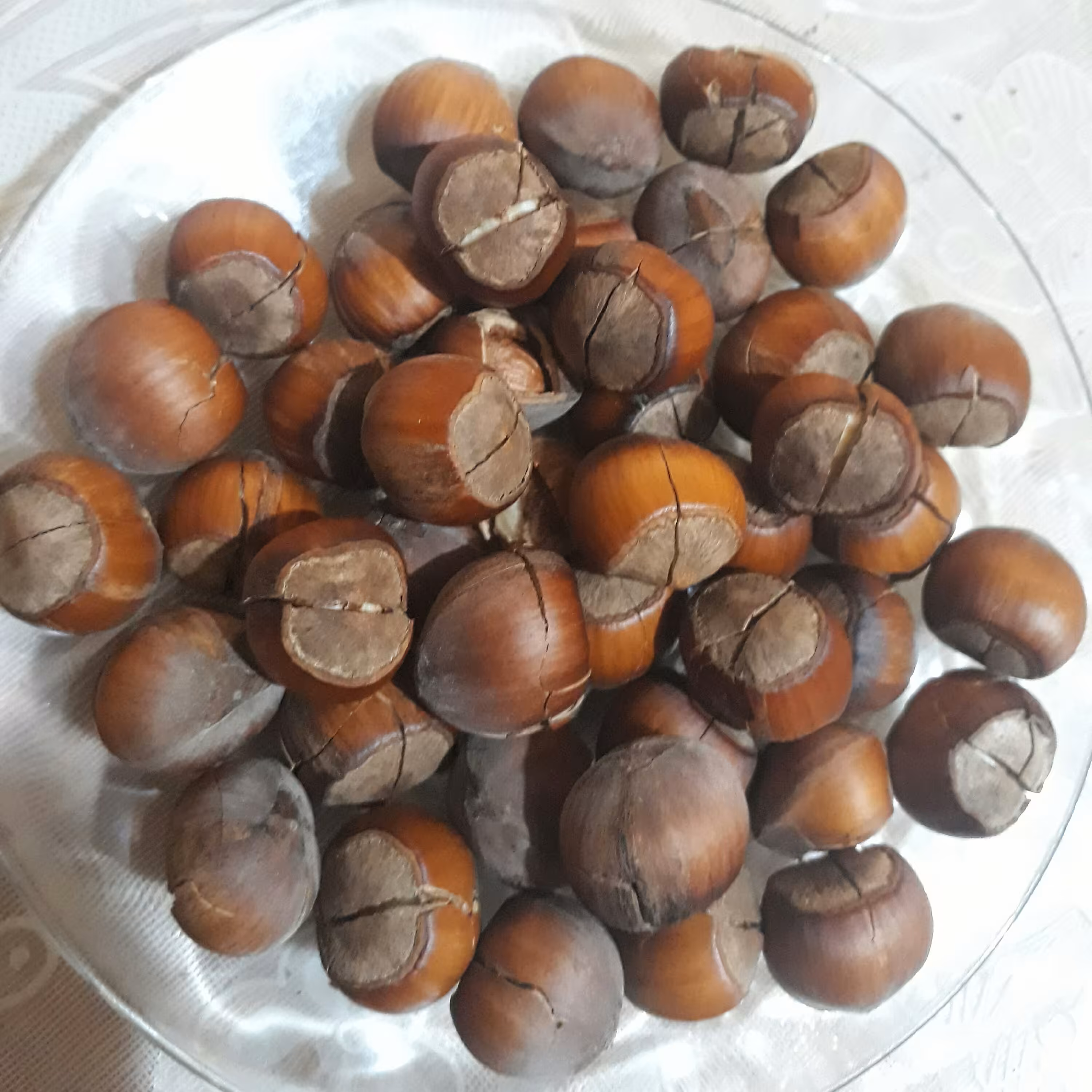 فندوق شکسته (تقریباخشک) ییلاق اشکور گیلان(متوسط) 