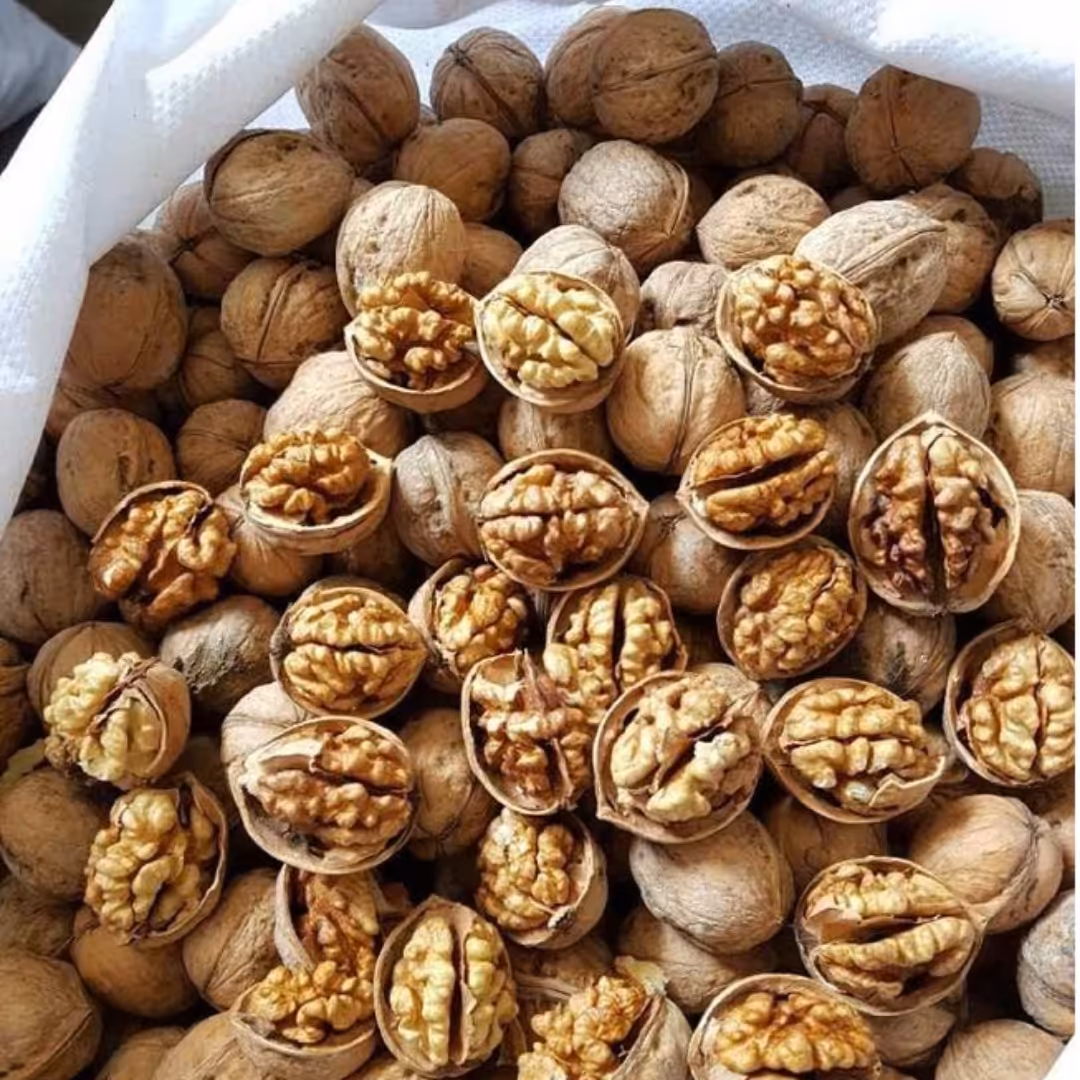 گردو تویسرکان 1402.یک کیلویی. مغز سفیدوچرب