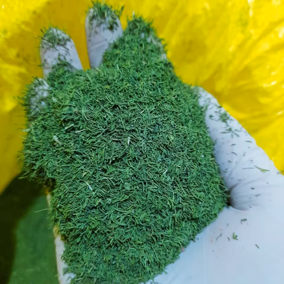 سبزی شوید خشک 200 گرمی باکیفیت و بسیار تمیز