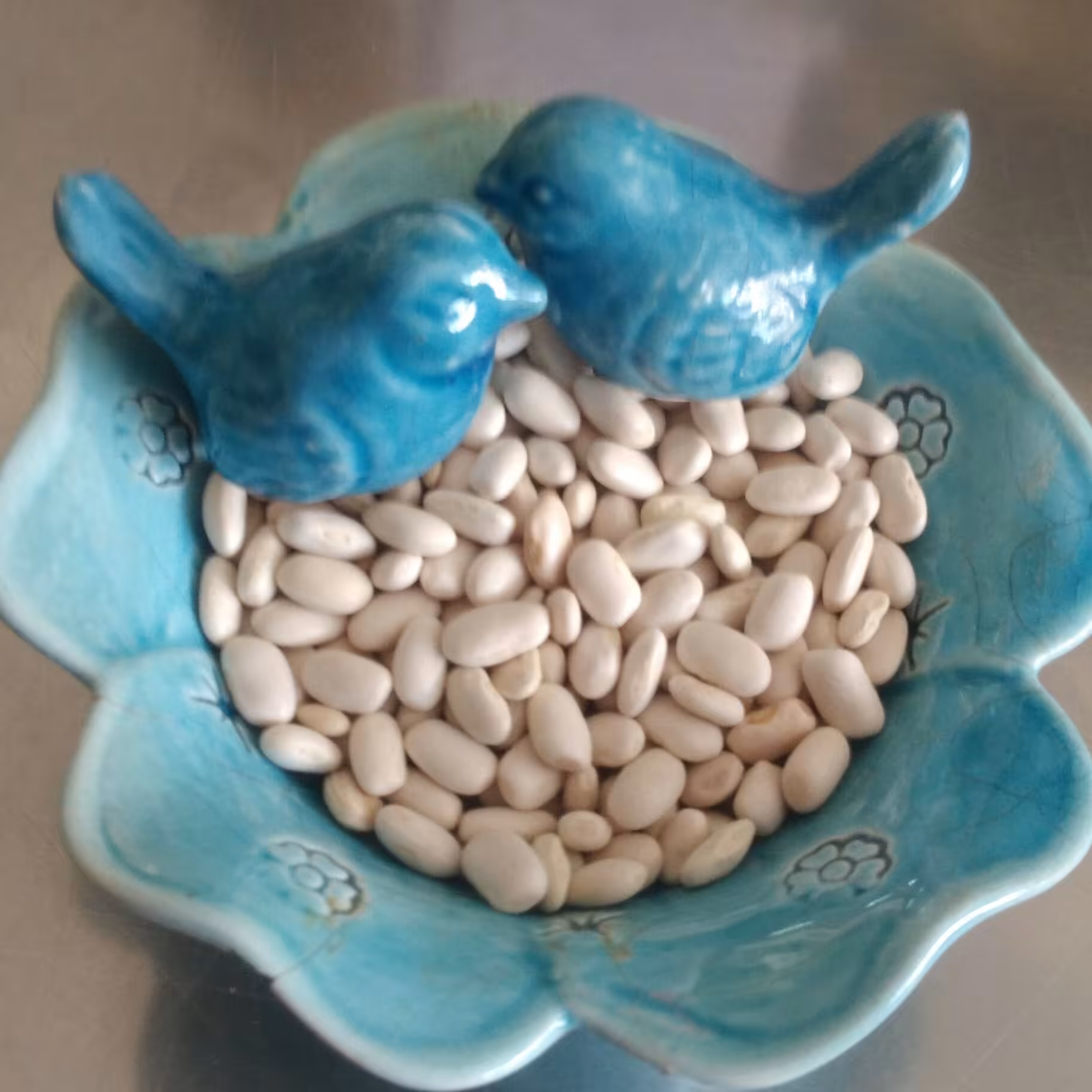 لوبیا سفید محلی بدون کود - 500 گرمی