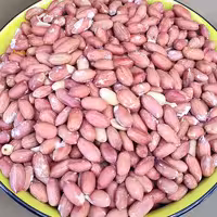 مغز بادام زمینی آستانه 250 گرمی