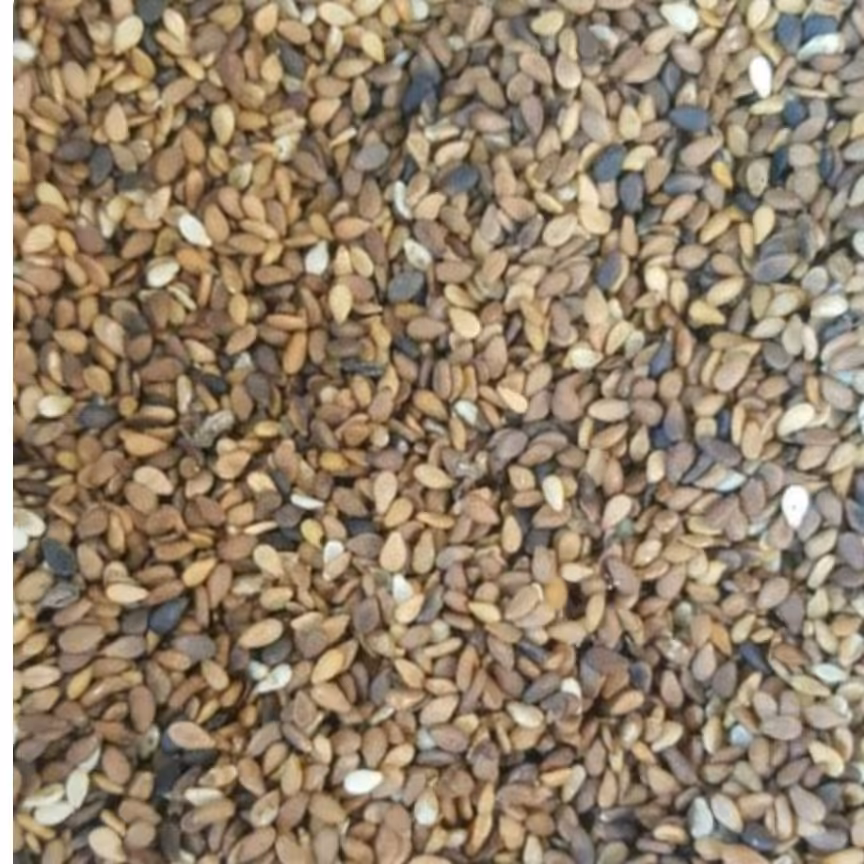 کنجد قهوه ای 450 گرمی