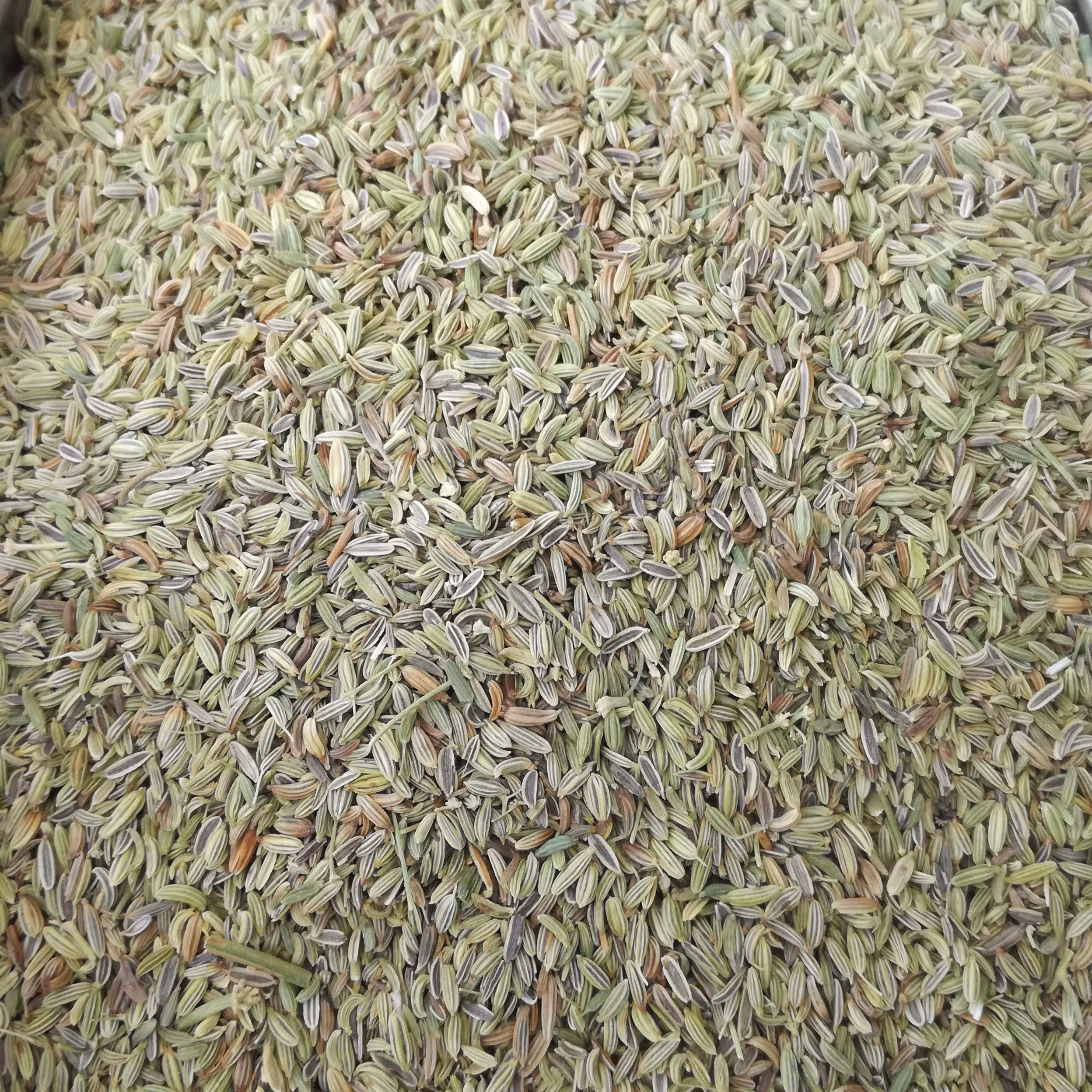 رازیانه ( بادیان ) صد گرم