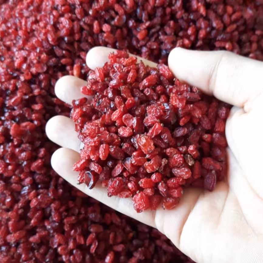 زرشک  اصل  قاین