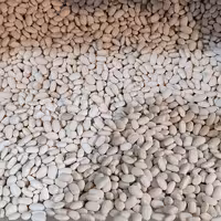 لوبیا سفید( یک کیلو)