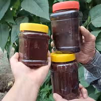 فروش ویژه رب آلوچه جنگلی ترش و ملس دیلمانا یک کیلوگرم