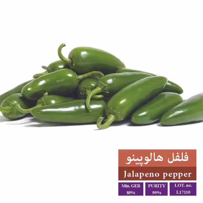 بذر فلفل هالوپینو - بذر طلایی رویان