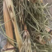 گیاه دم اسبی درجه یک اعلاء 75 گرم 5 ستاره صدرا