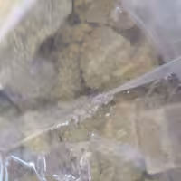 کشک گوسفندی روغنی  نرم محلی قوچان  