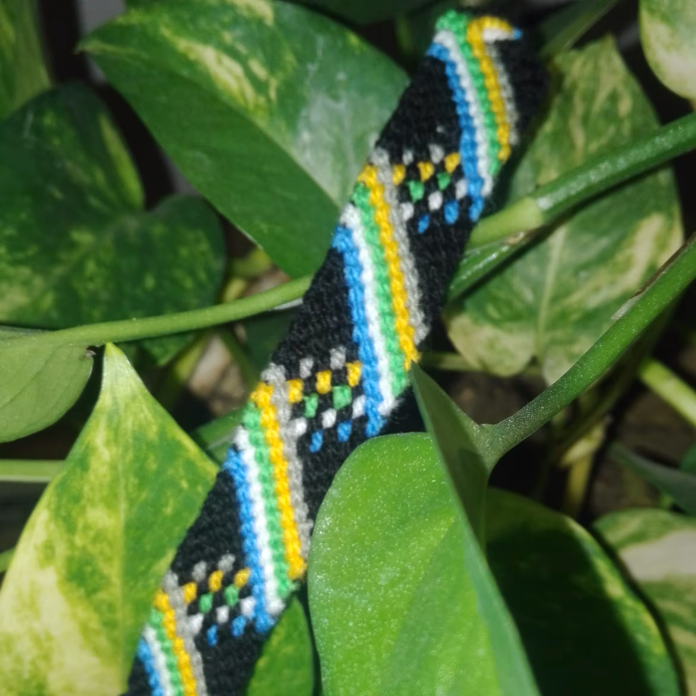 دستبند دوستی