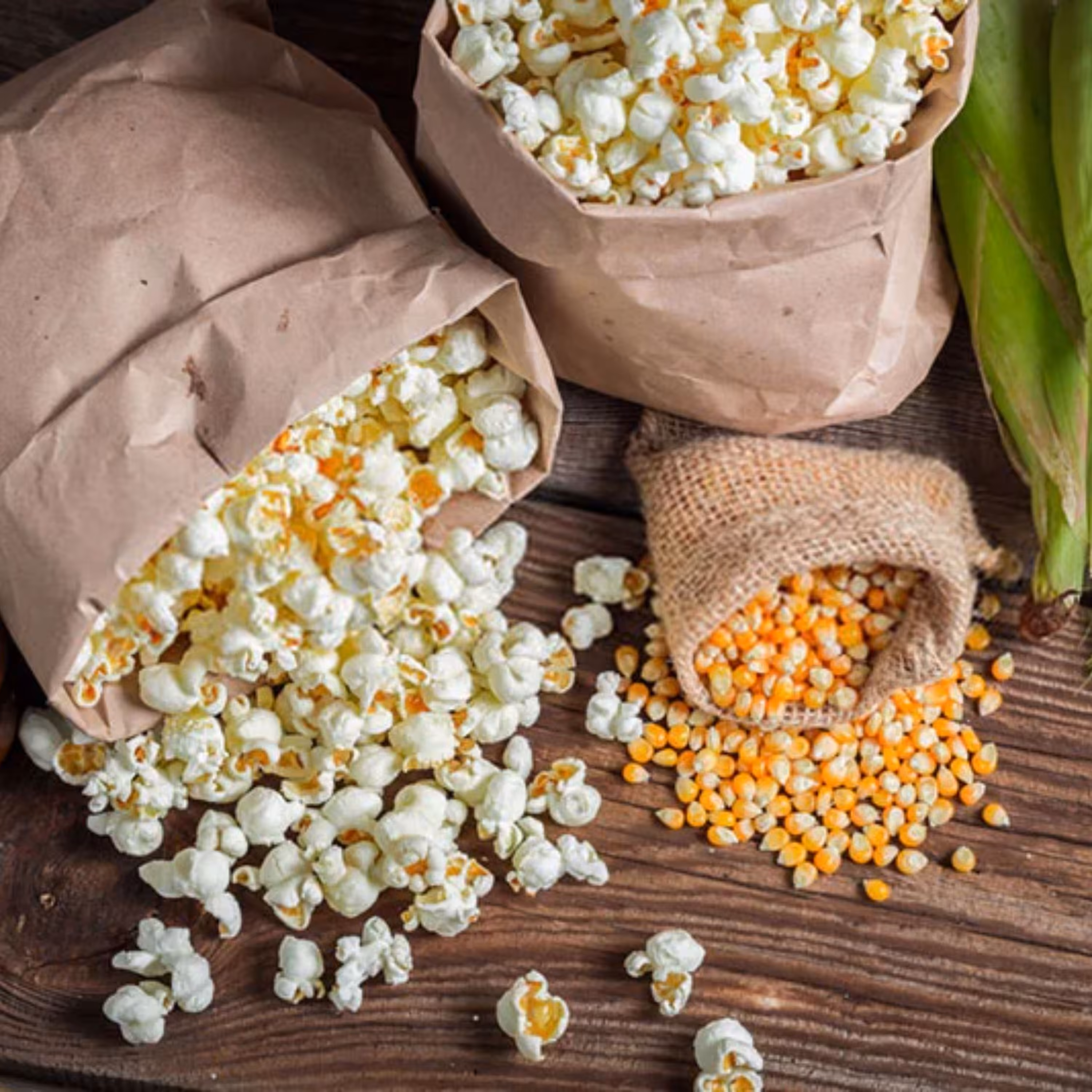 بذر ذرت پف فیل (پاپ کورن) مجارستانی بسته 20 عددی