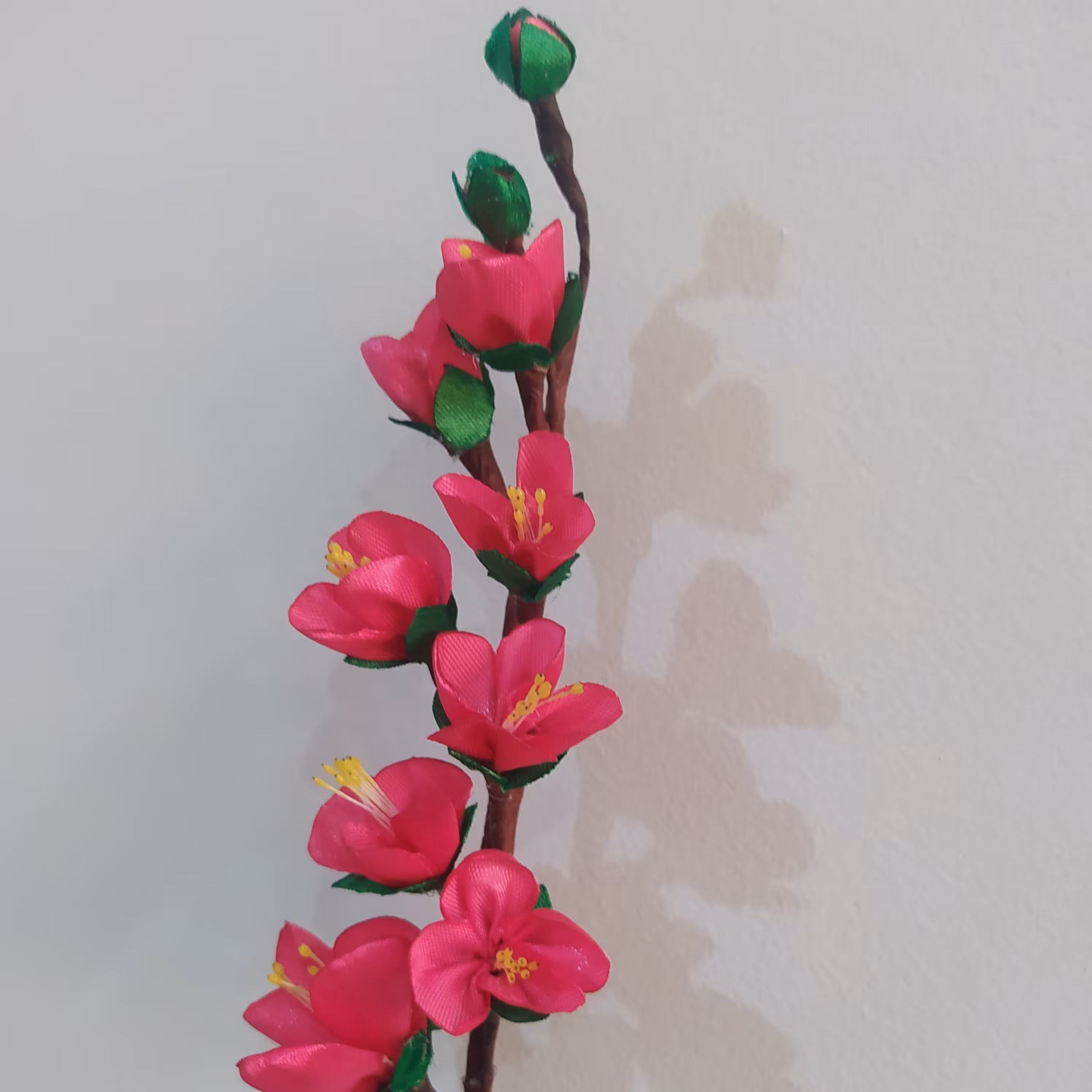 ساقه گل شکوفه بهاری