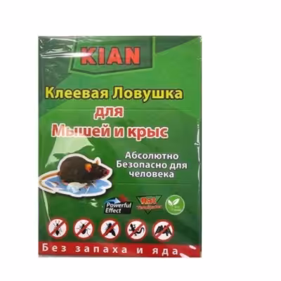 موش گیر کتابی