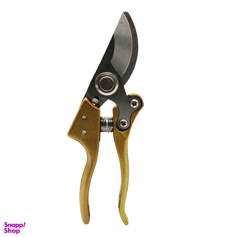 قیچی باغبانی بی سی تی ام مدل YPZ-JAPAN-ZS-210MM