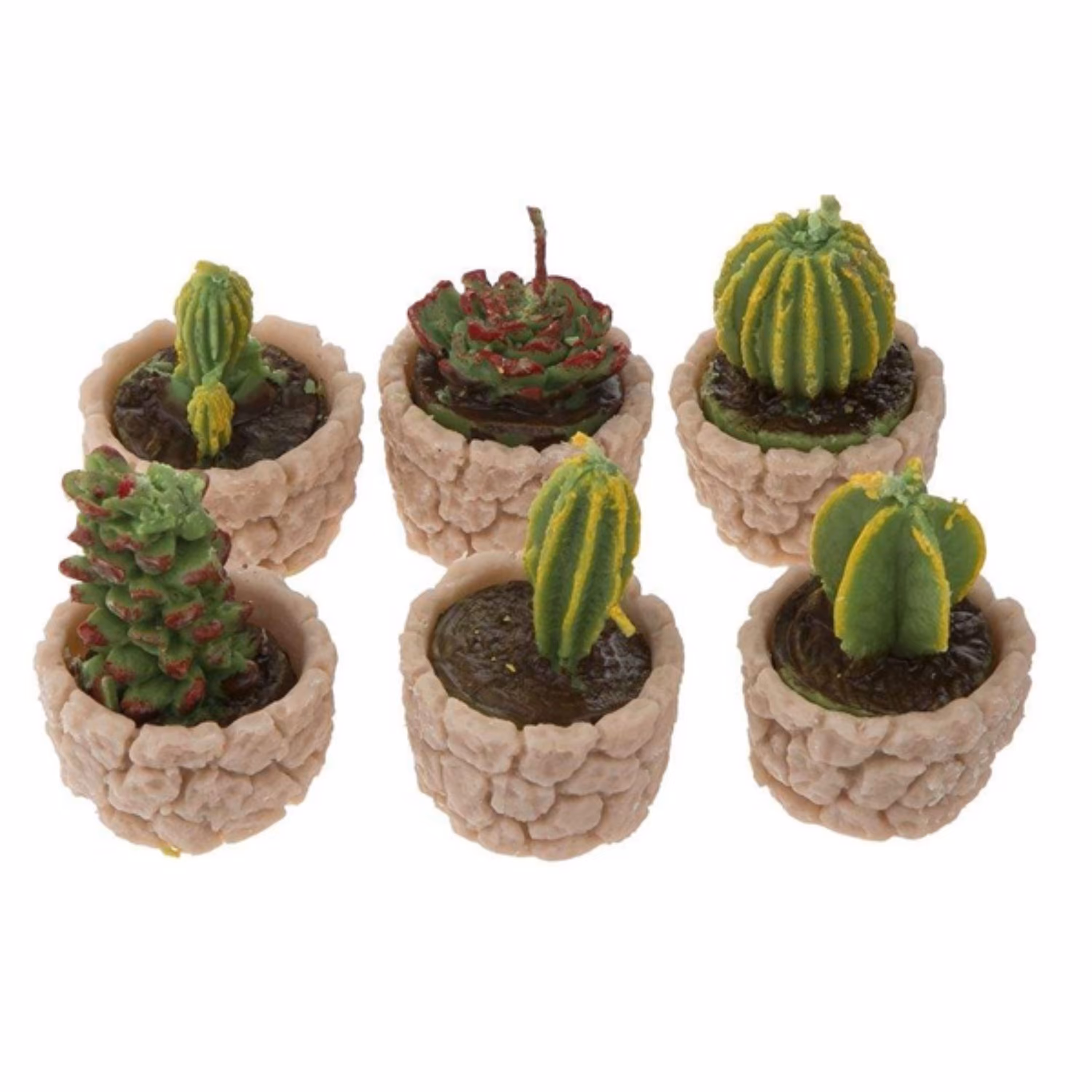 شمع طرح کاکتوس بسته 6 عددی در8 رنگ کرم سبز بنفش صورتی نارنجی آبی قهوه ای و زرد