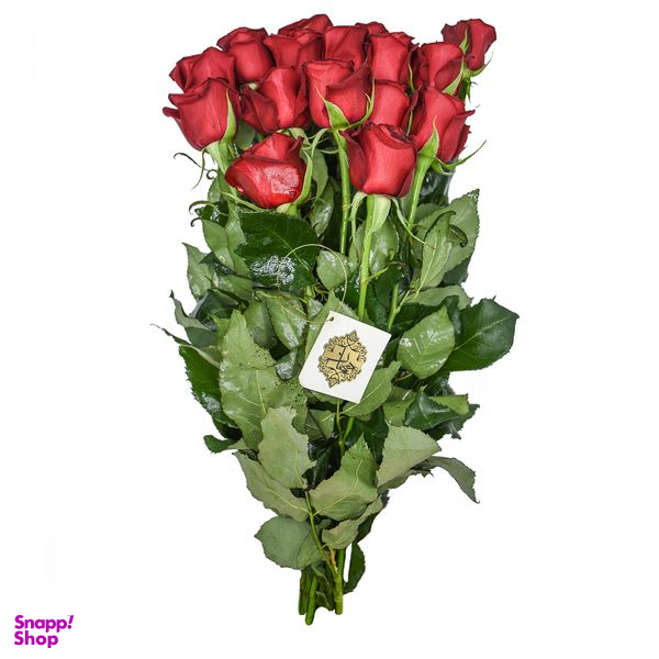 دسته گل رز هلندی قرمز هیمان کد Ro08