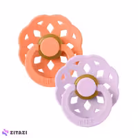 پستانک دو عددی 6  ماه بیبس گلبهی بنفش