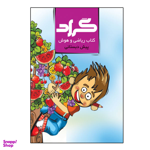 کتاب ریاضی و هوش پایه پیش دبستانی اثر ملیحه رشیدی انتشارات گراد
