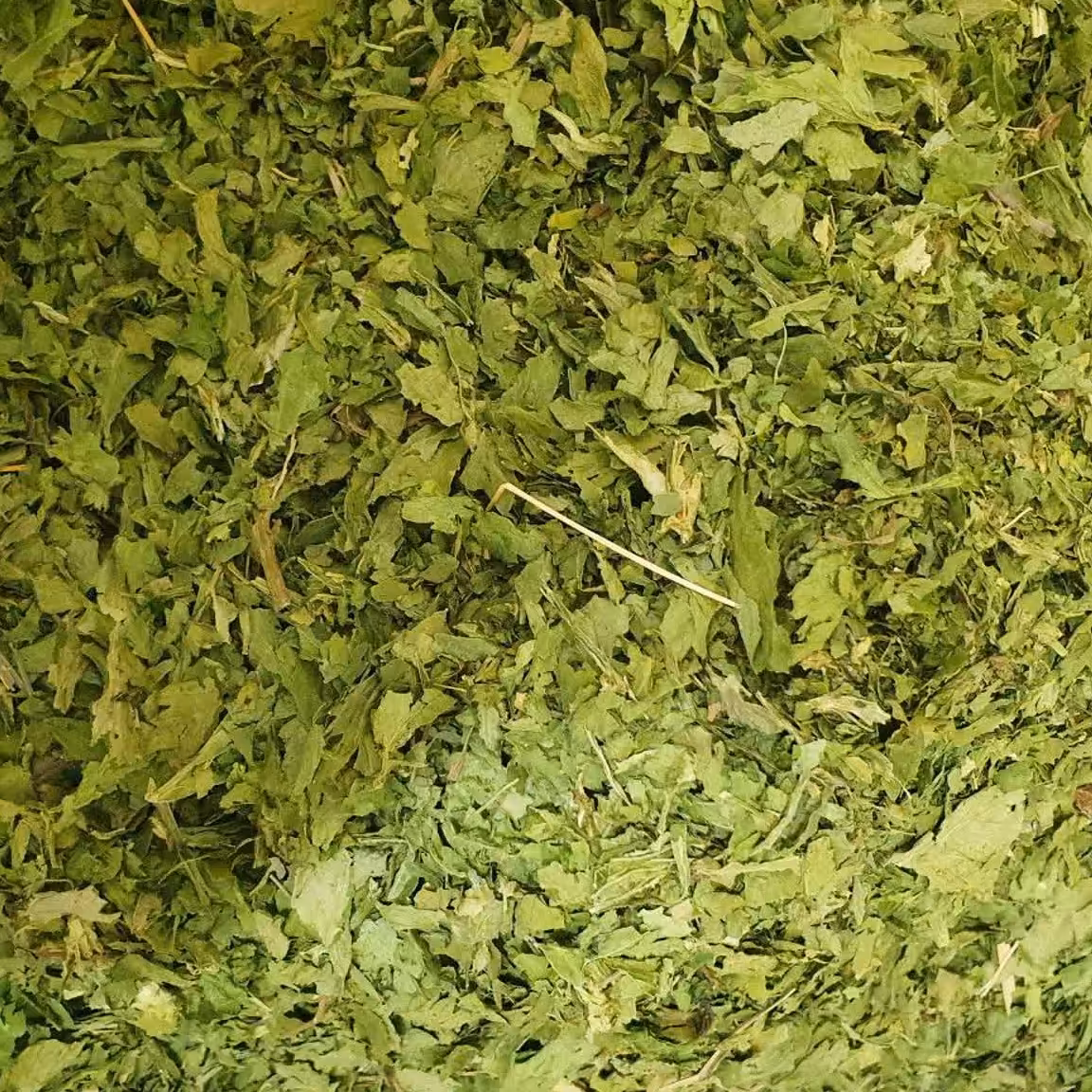 برگ کرفس - 500 گرم