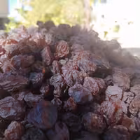 مویز قرمز آفتابی درجه 2(1000 گرمی)