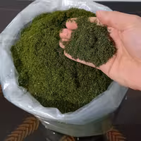 شوید خشک پلویی ارگانیک اعلا سبز و سایه خشک 150 گرم محلی فوتکا