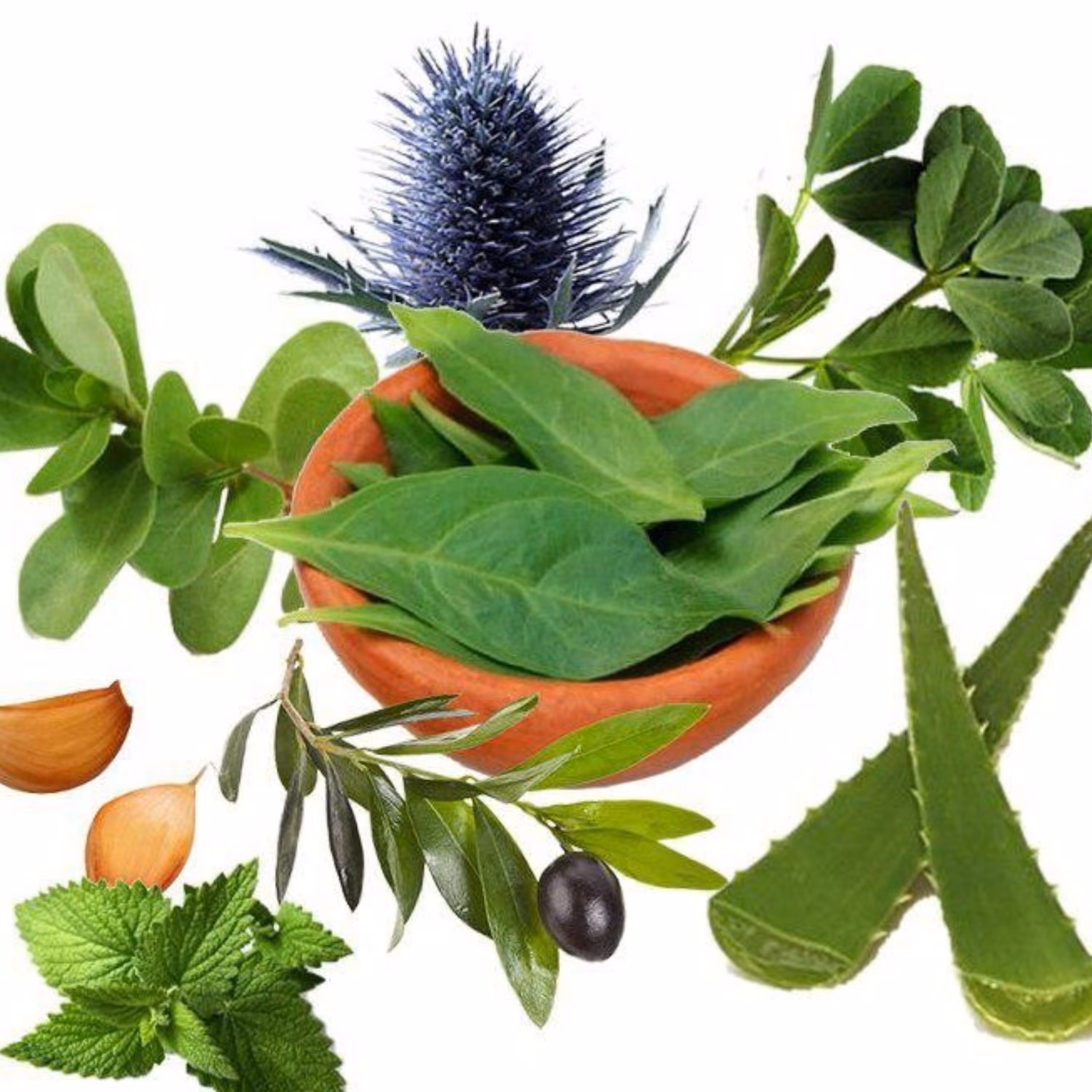 معجون قند خون