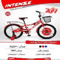 دوچرخه بچگانه اینتنس 20 253 2017