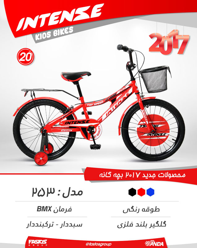 دوچرخه بچگانه اینتنس 20 253 2017