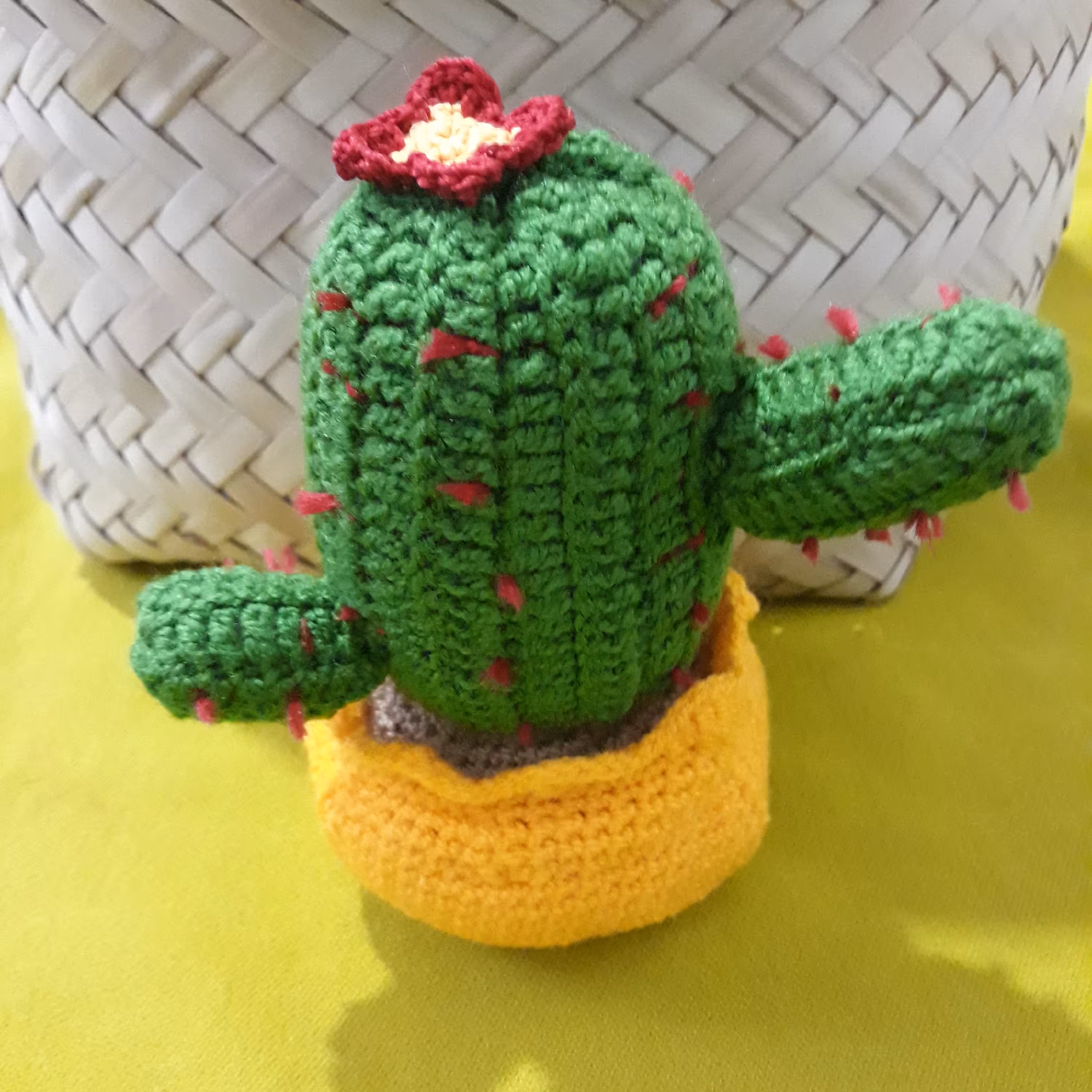 گلدان کاکتوس بافتنی