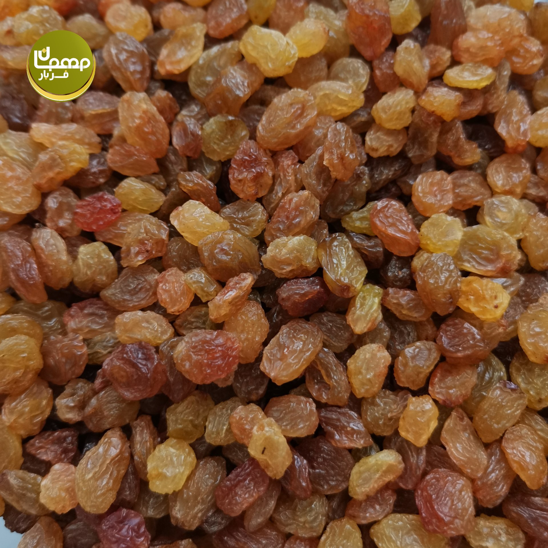 کشمش پلویی تاکستان