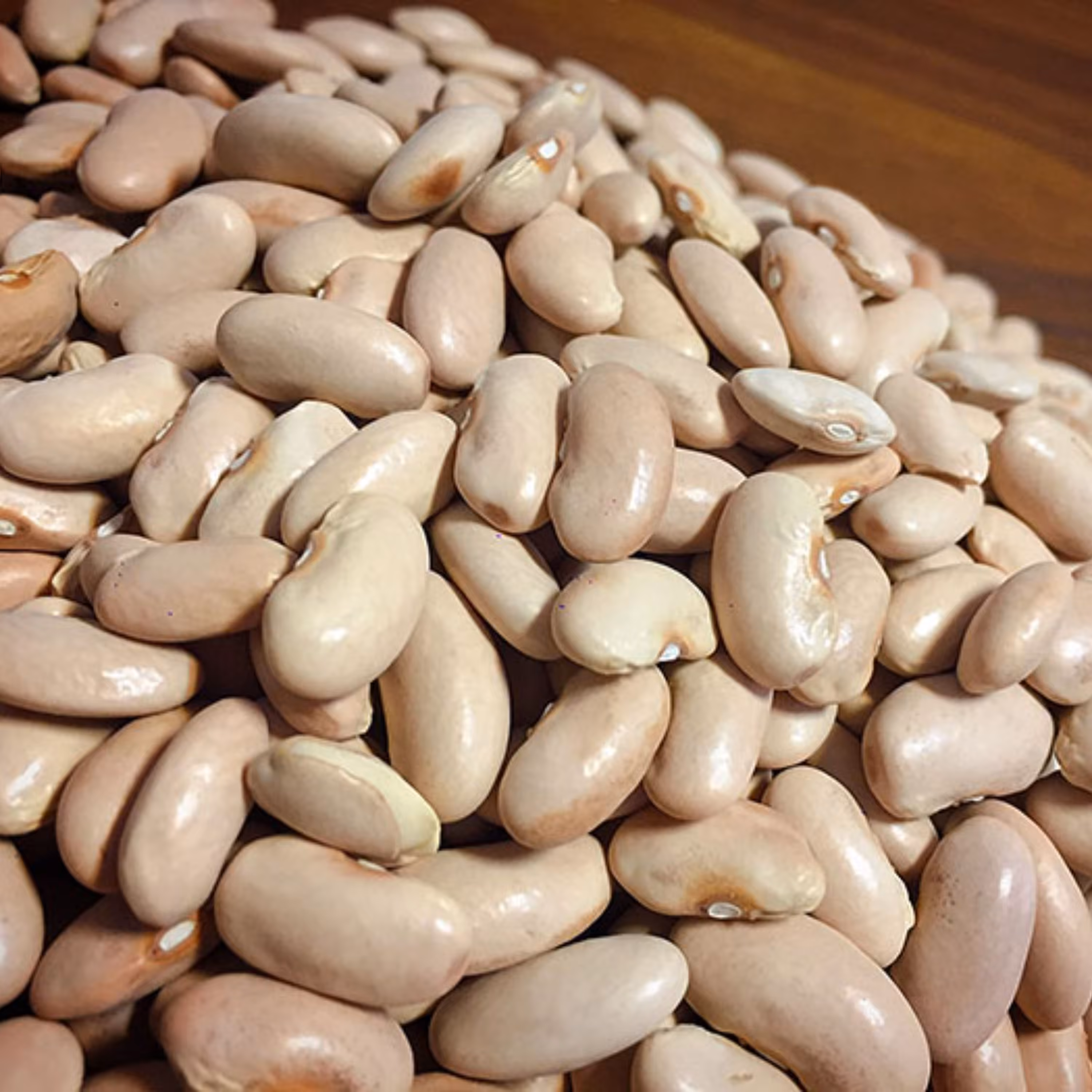 بذر لوبیا کشاورزی (رشتی) اصلاح شده بسته 10 عددی