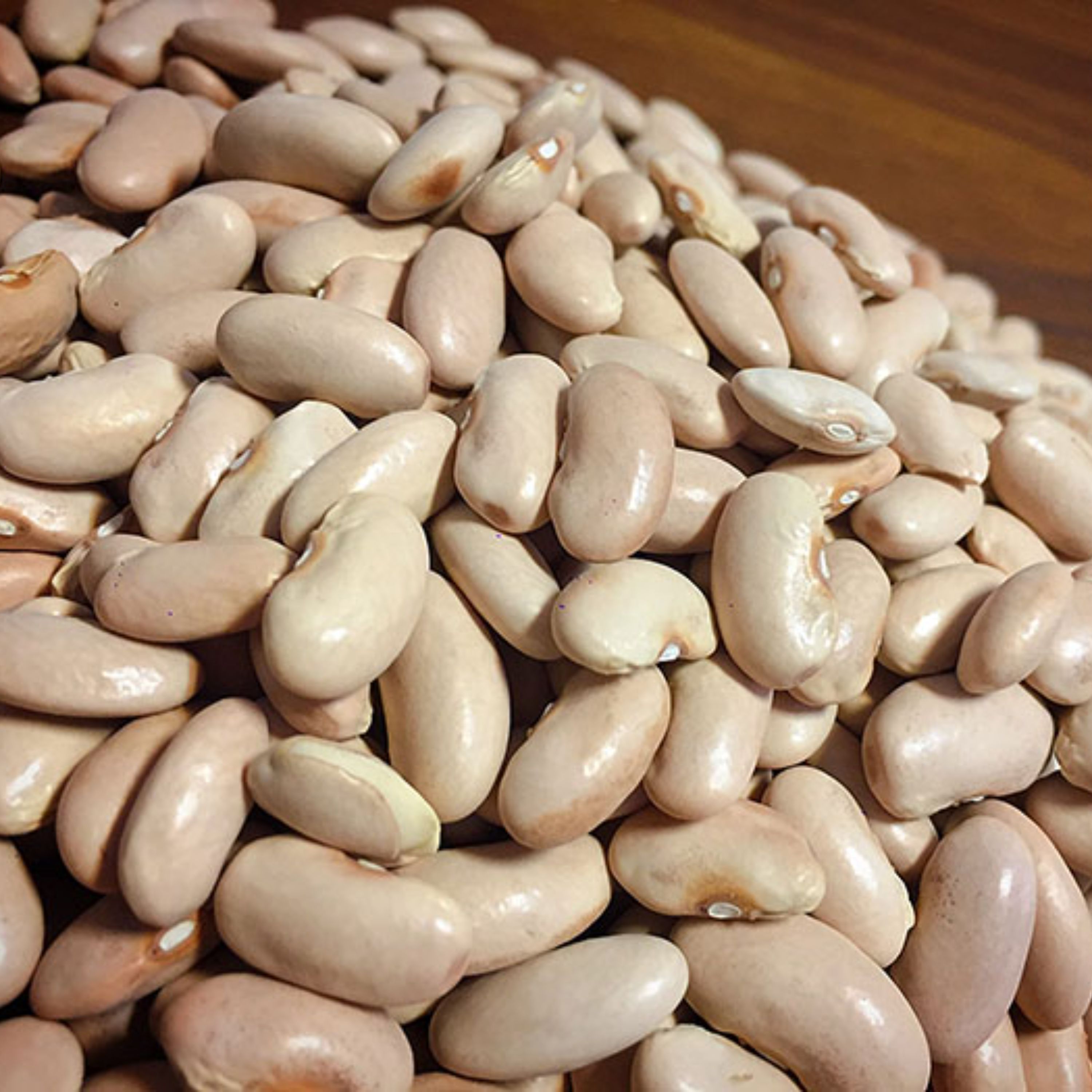 بذر لوبیا کشاورزی (رشتی) اصلاح شده بسته 10 عددی