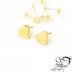 گوشواره قلبی میخی برند استیل