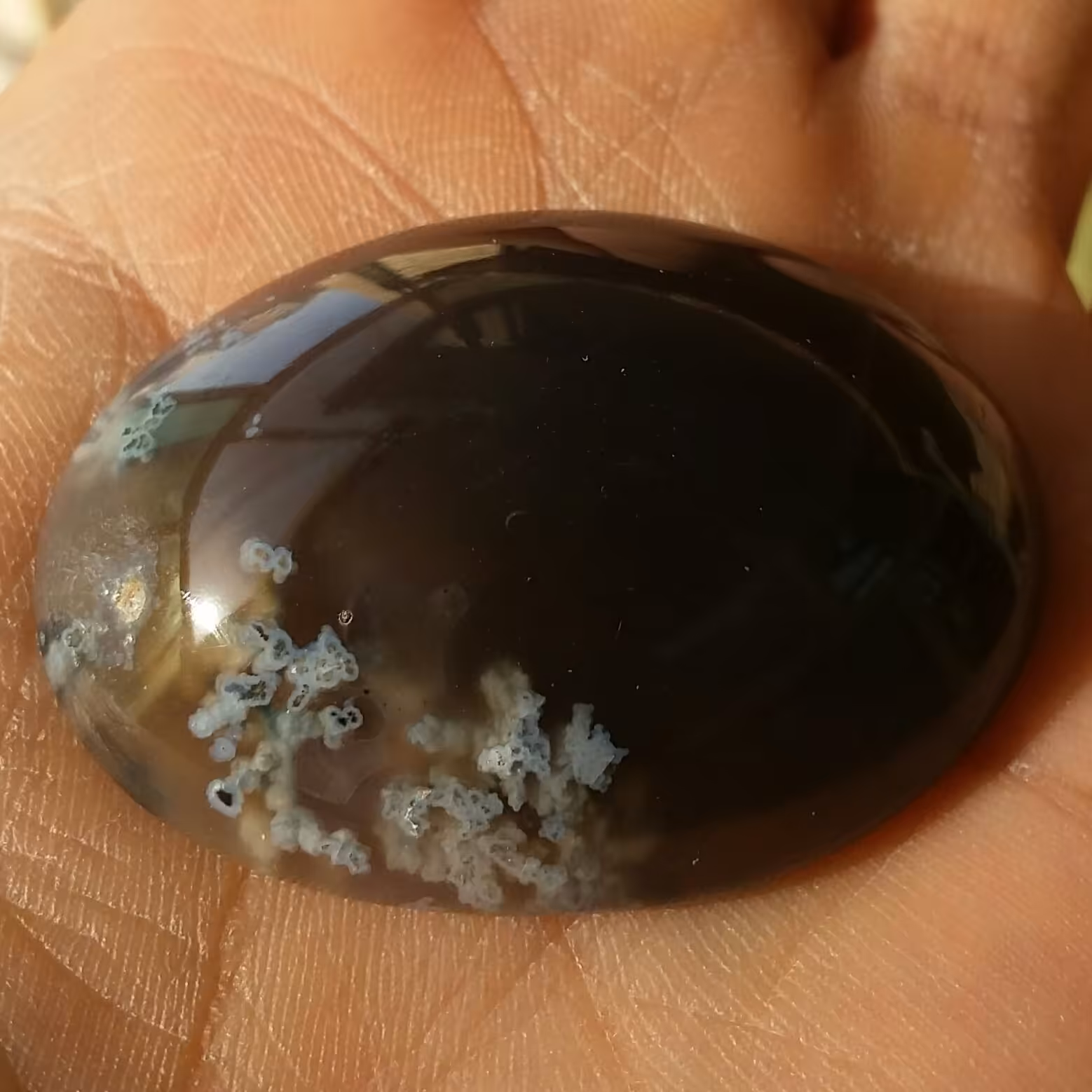 نگین شجر شکوفه زمینه خرمایی تراش دامله محشر شاهکار خلقت 100درصد طبیعی بی نظییییر