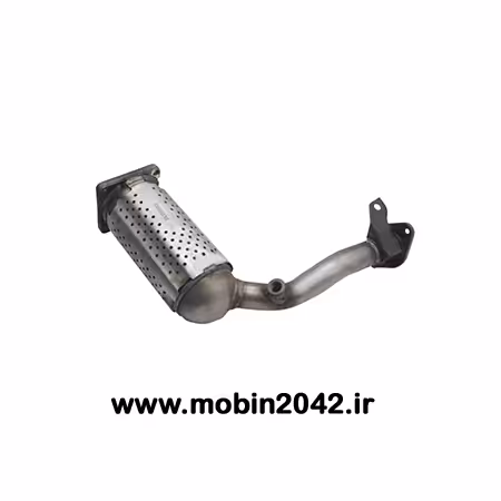 کاتالیزور رانا