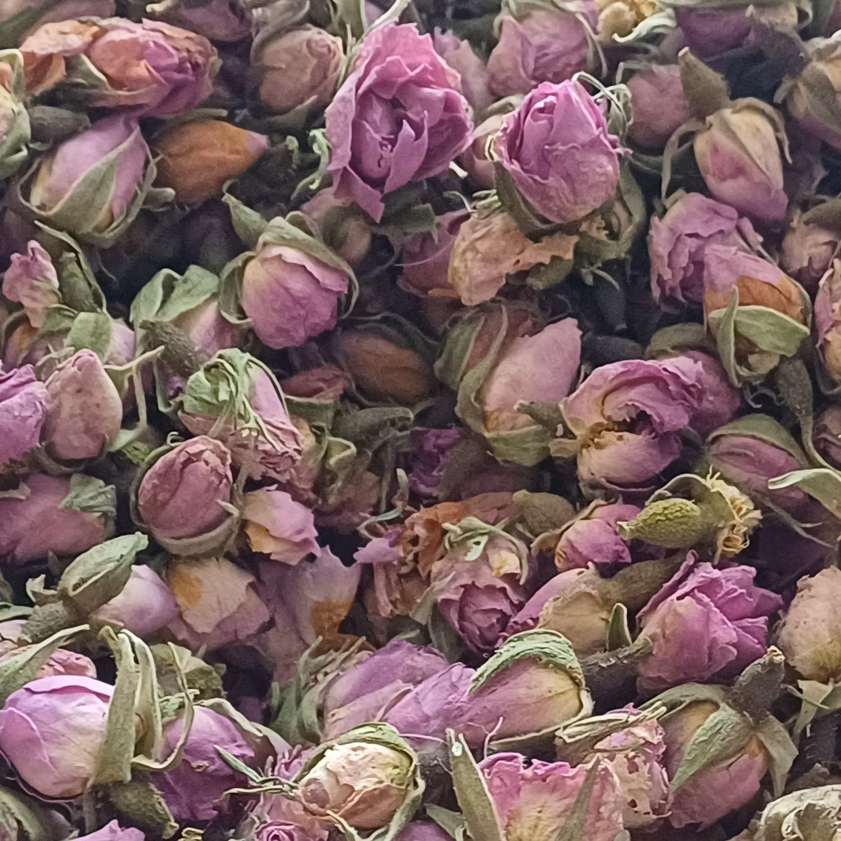 گل محمدی لوکس خوش عطر درجه یک طبیعی تازه 