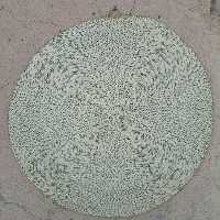 سفره گرد حصیری  ریزبافت قطر یک متر