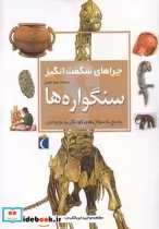 قیمت و خرید کتاب چراهای شگفت انگیز سنگواره ها 181827 | ایده بوک