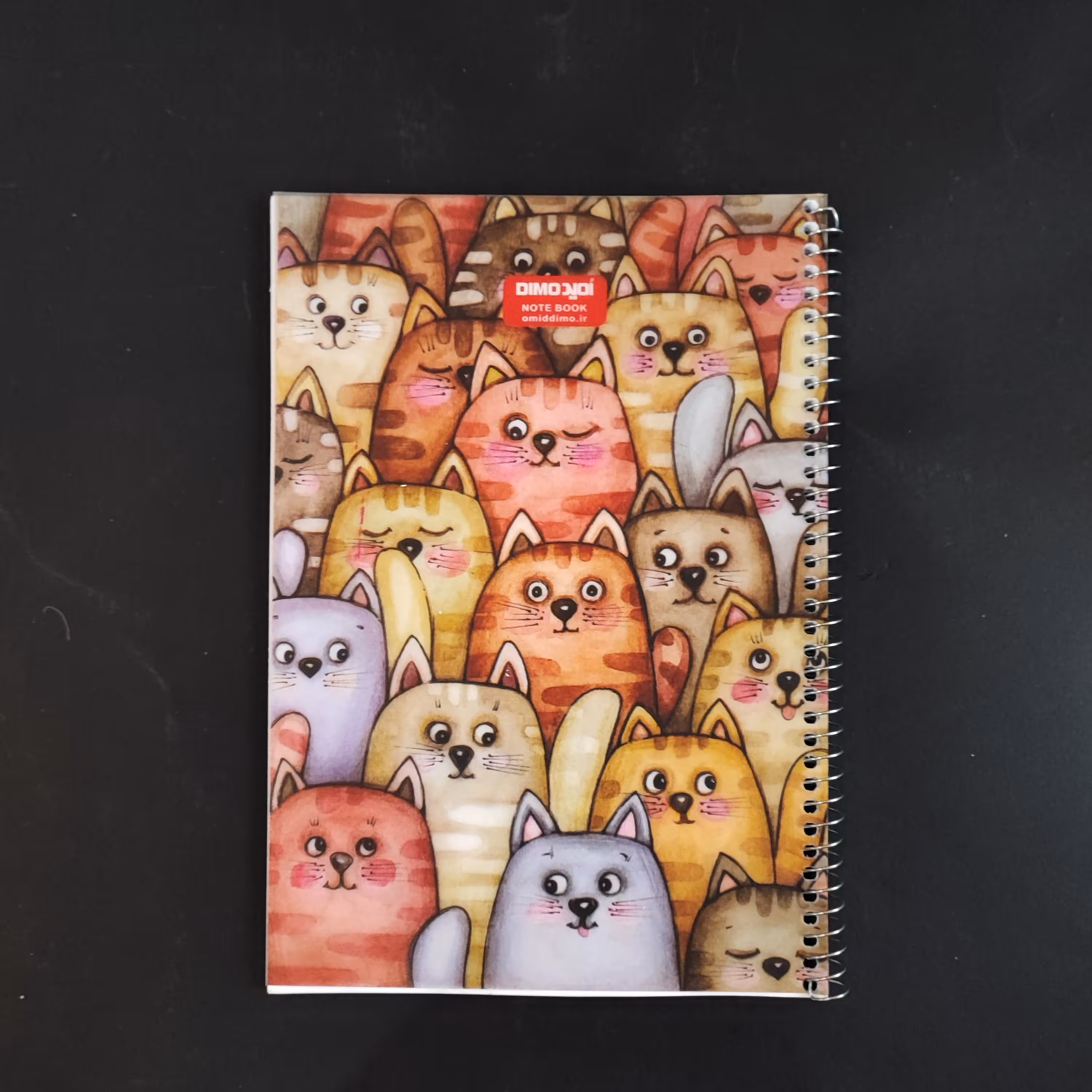 دفتر  نقاشی  50 برگ - امید -  جلد طلقی سیمی - طرح  گربه ها 